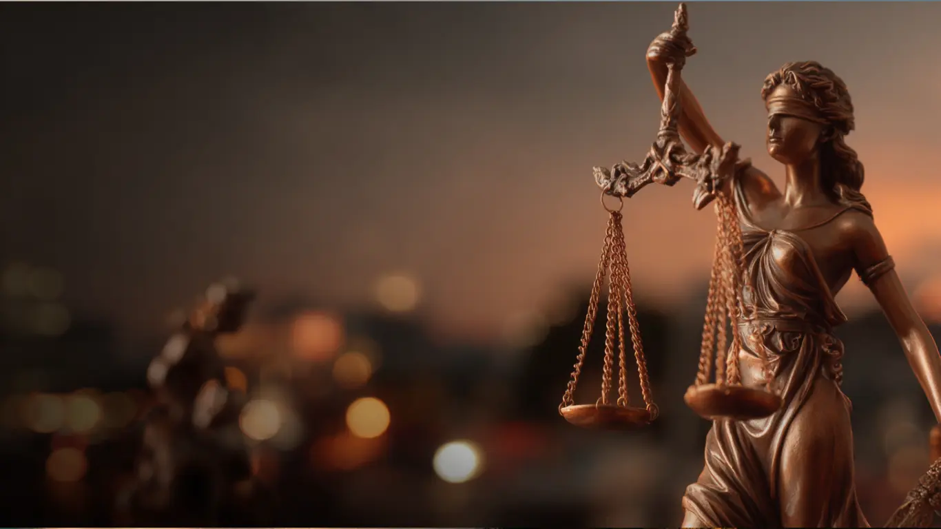 Lundberg Law Erfarenhet